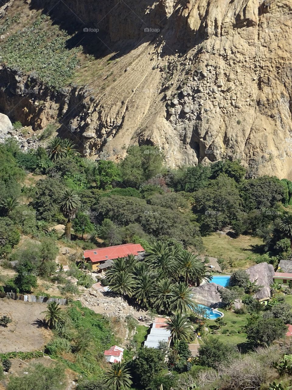 A tiny oasis at the bottom of Colca Canyon, Peru