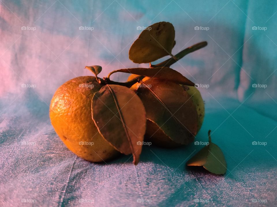 baby oranges