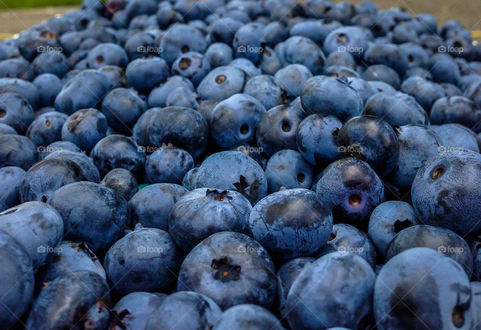 Blueberries 