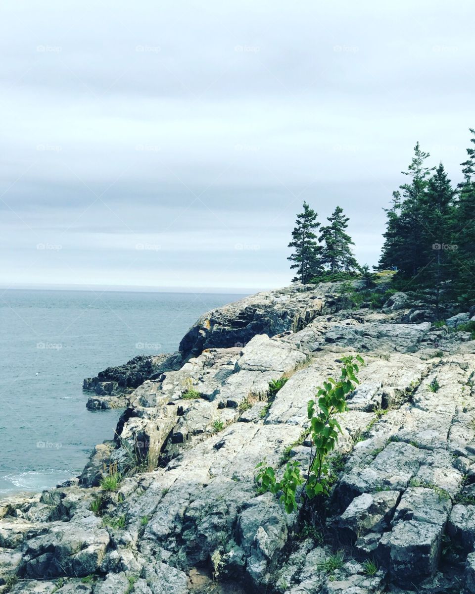 Acadia National Park- Maine