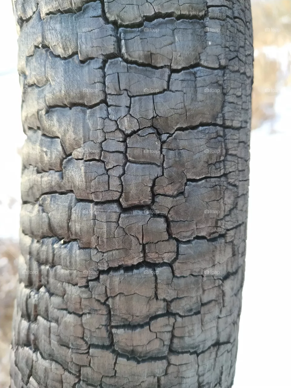 burnt
