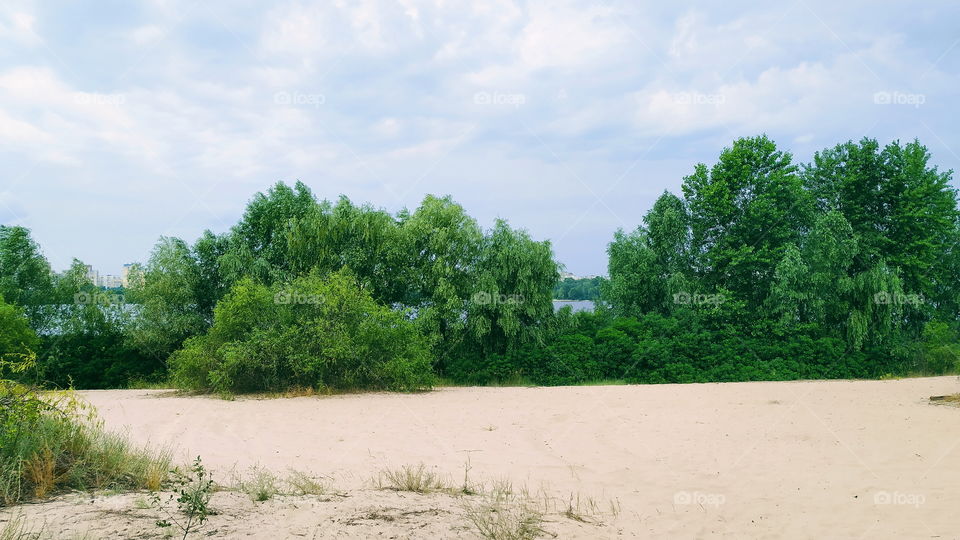 wild beach on the Dnieper River