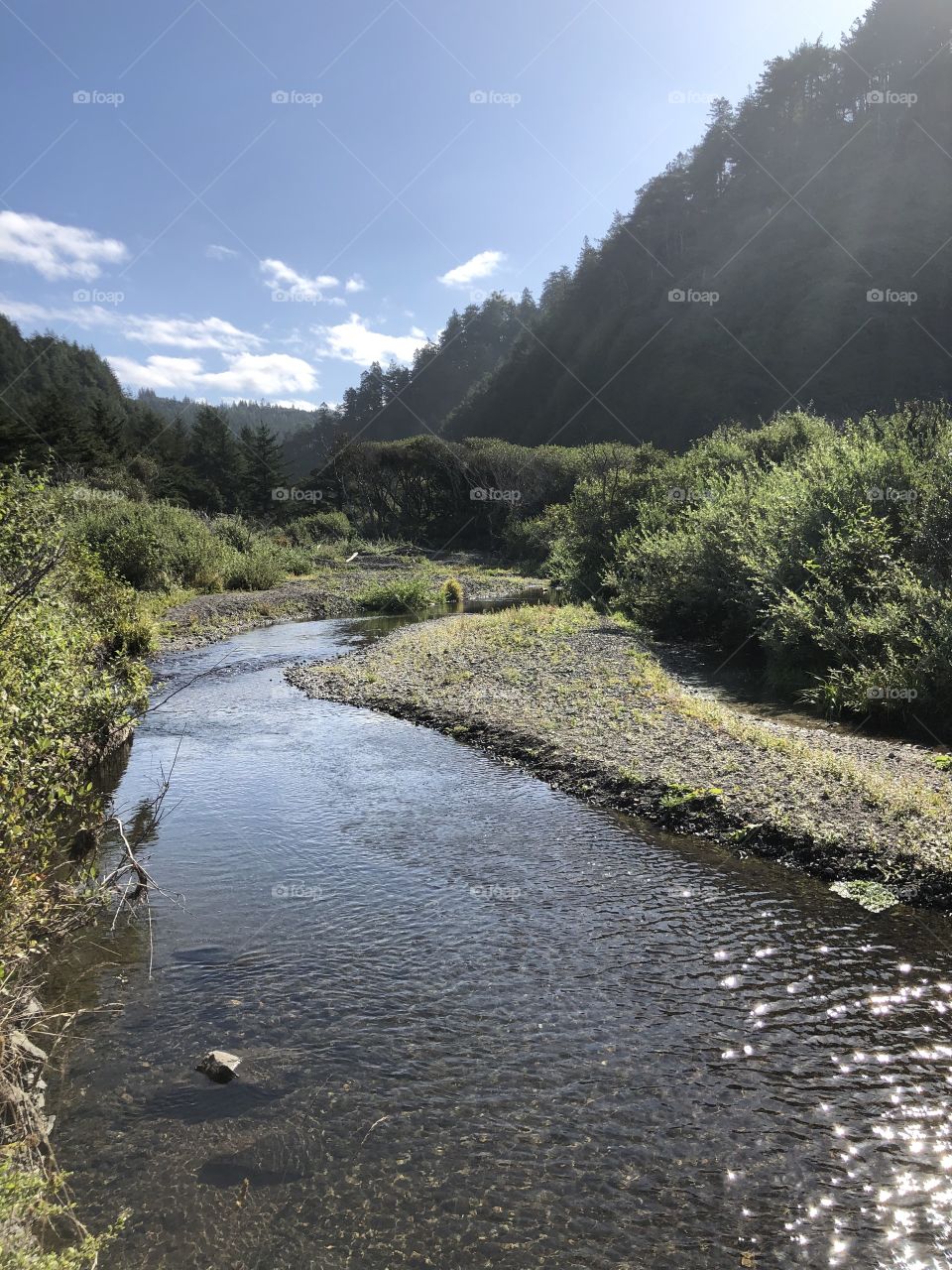 Humbug Mountain Tributary