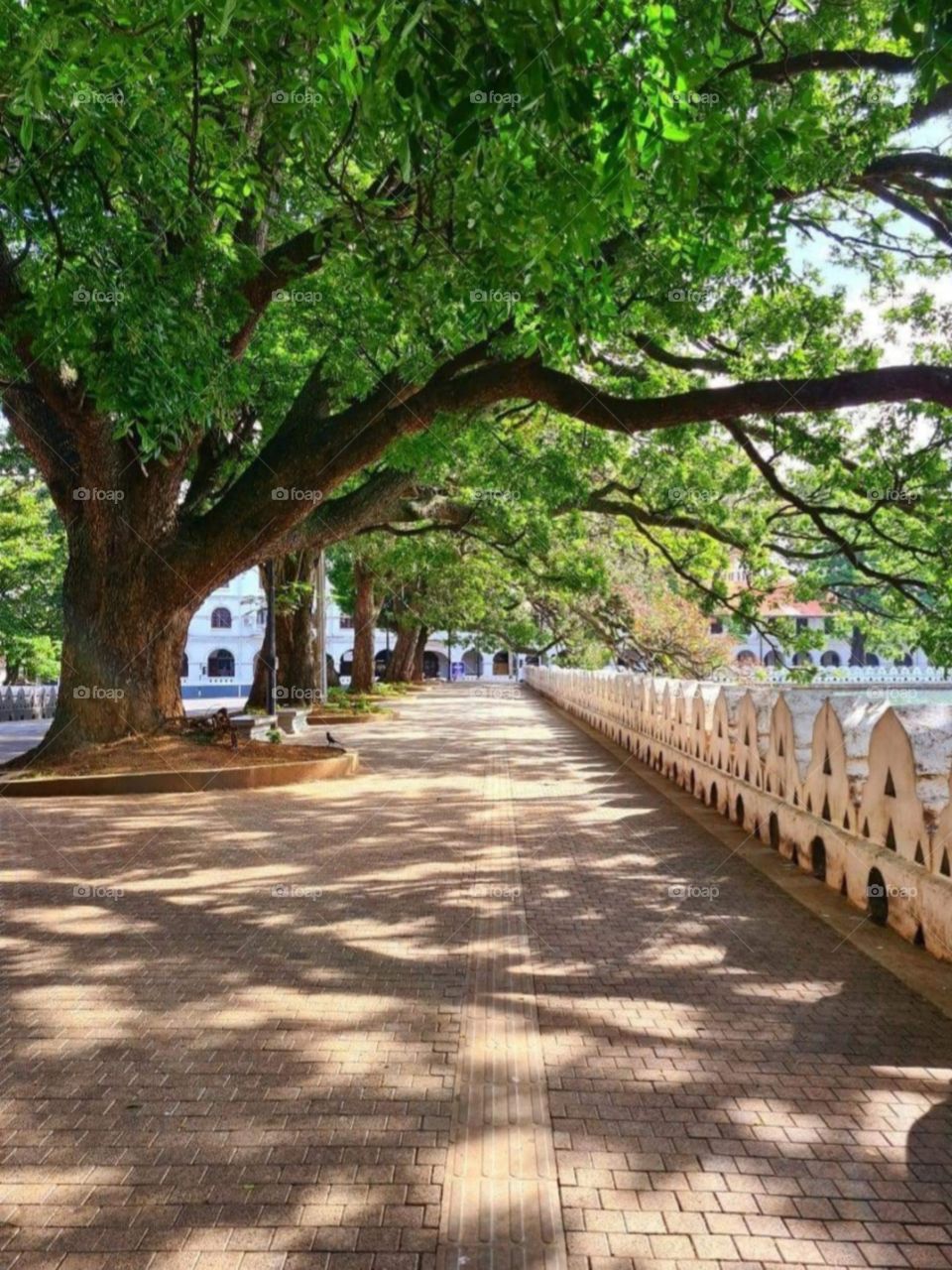 Around the lake road