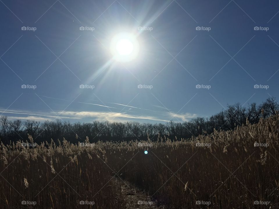 Sun over the prairie