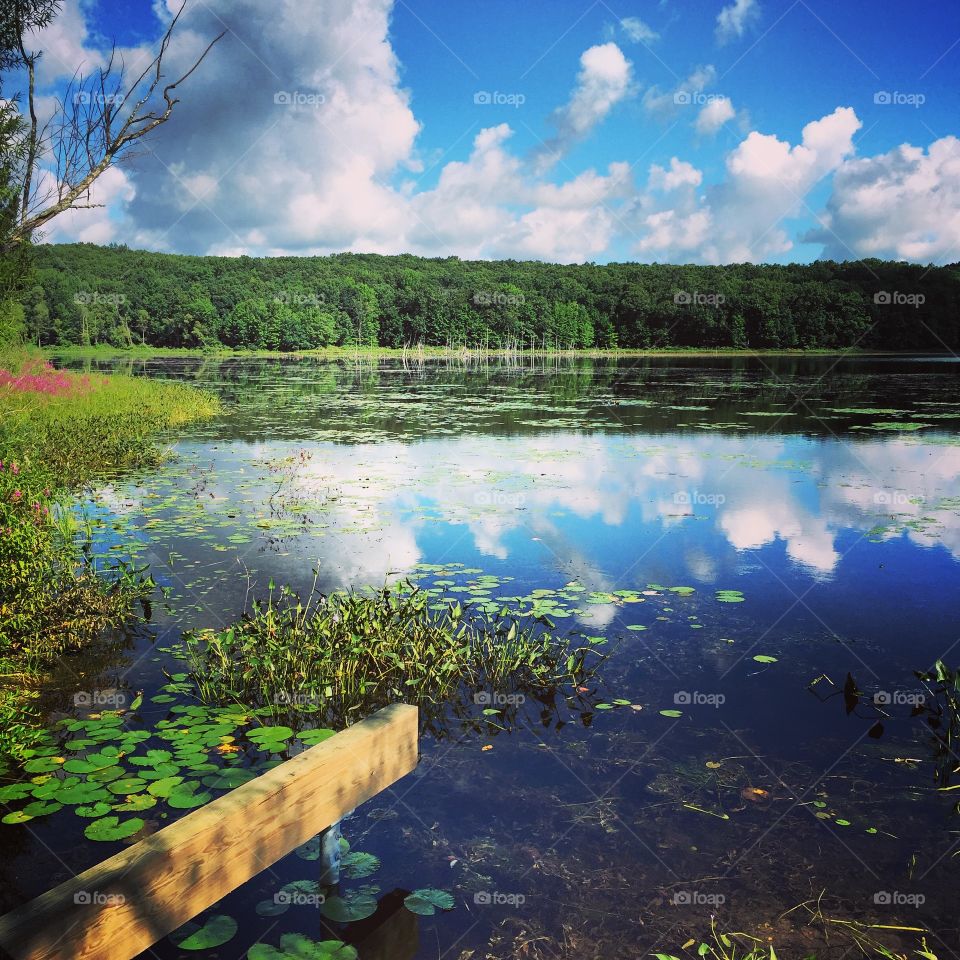 A beautiful view of Pickerel lake.