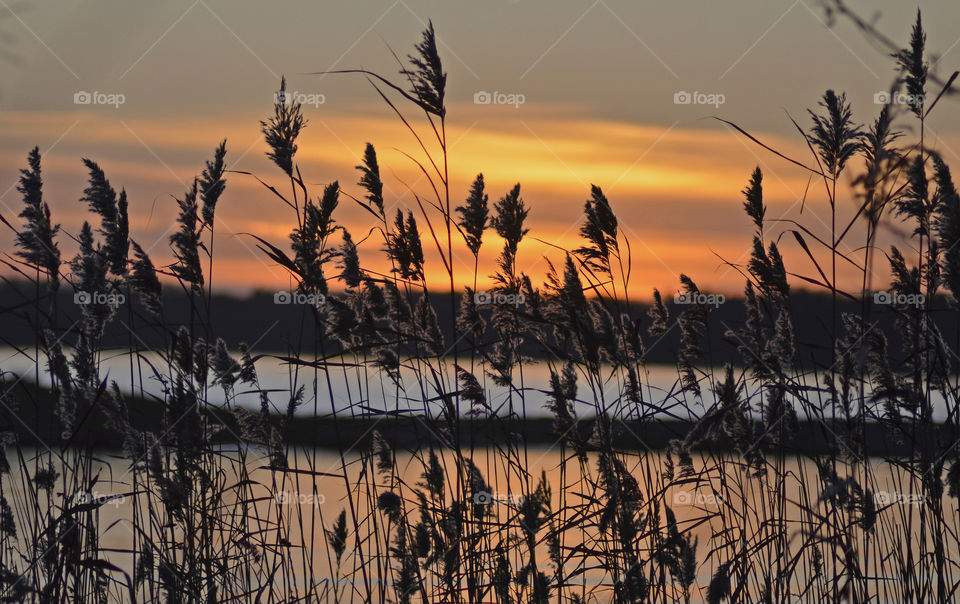 Torkö, Ronneby, Sweden