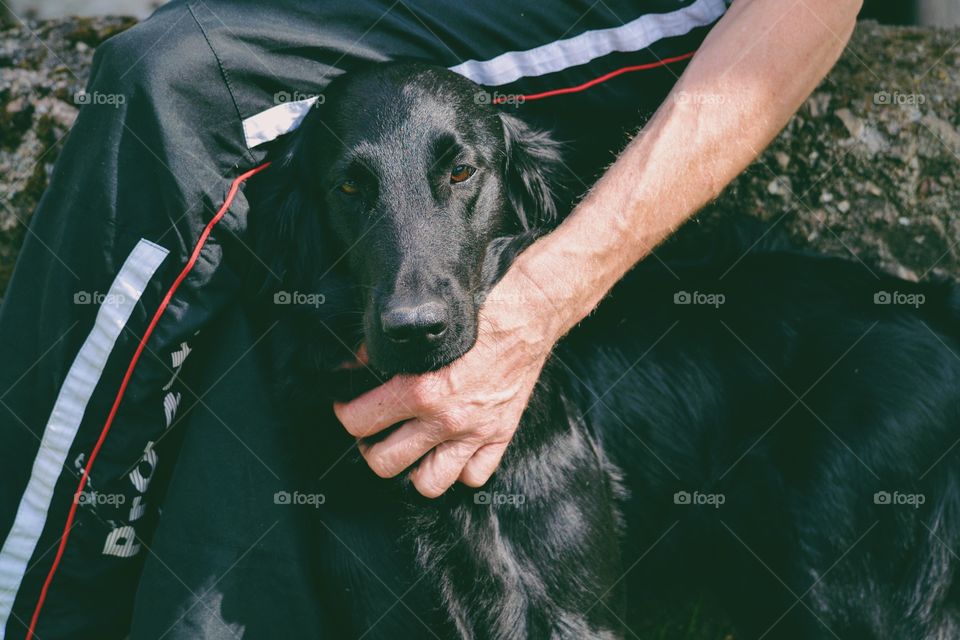 Man and his dog