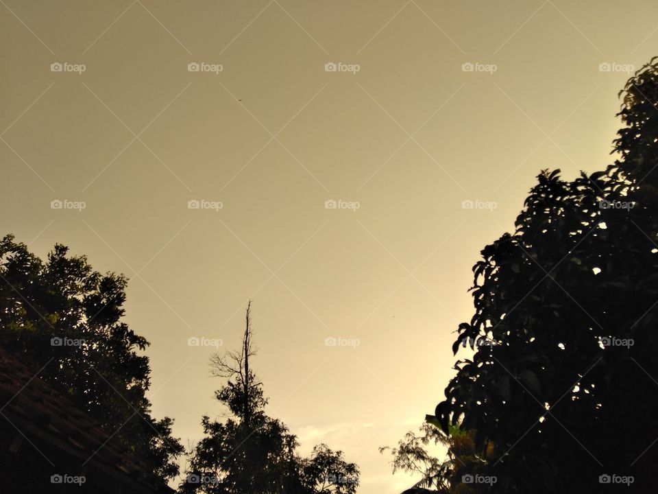 shadow of the scenery