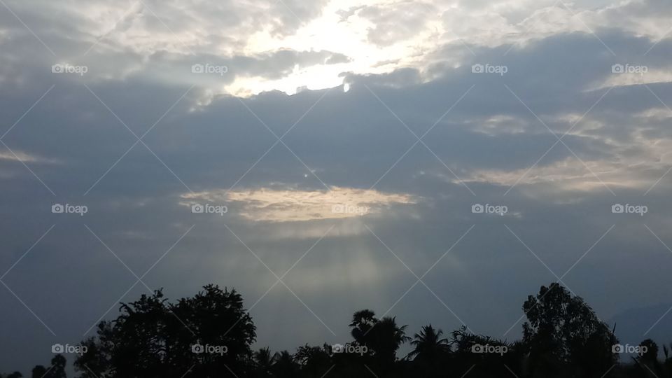 This is wonderfull click and nature