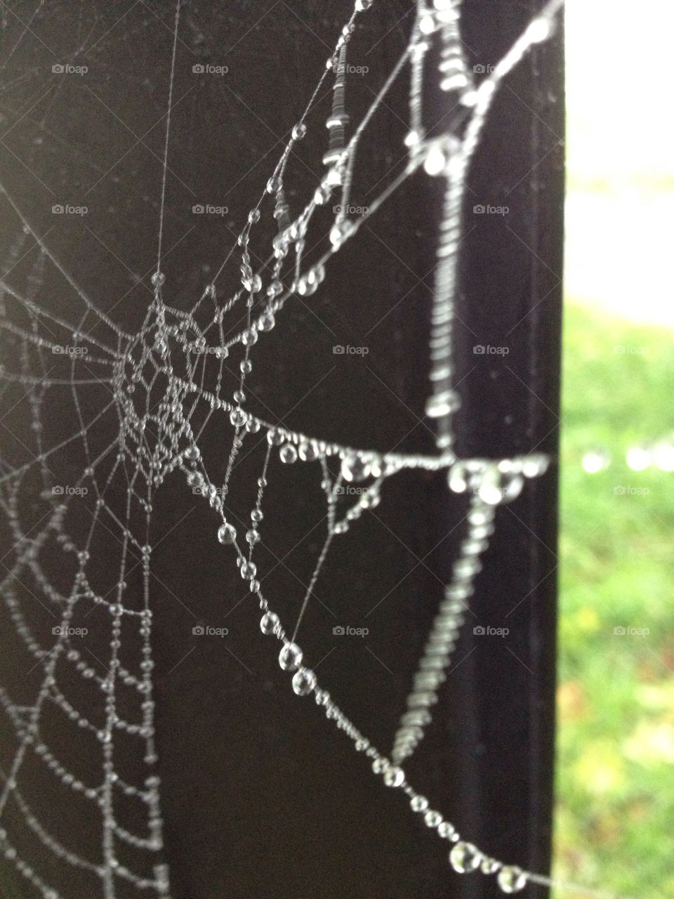 london uk water rain web by tanushri123