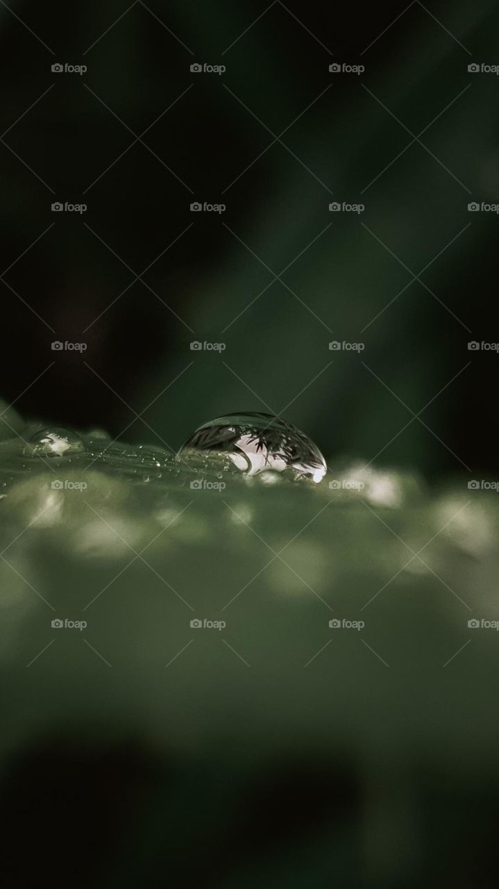 macro world: level infinity