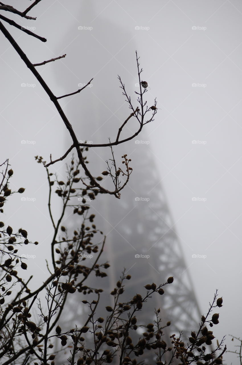 Eiffel Tower in fog