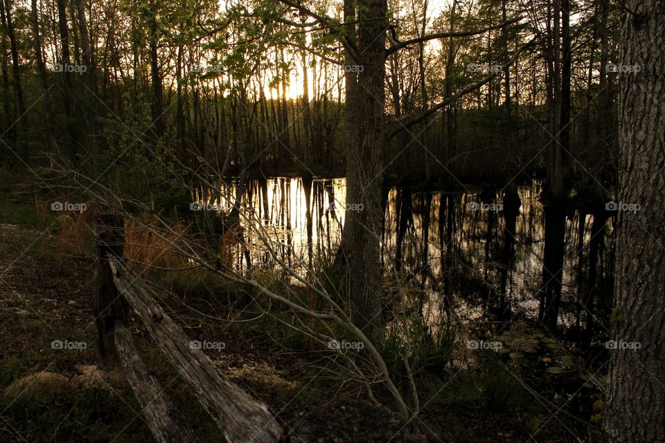 Reflection off of a lake 