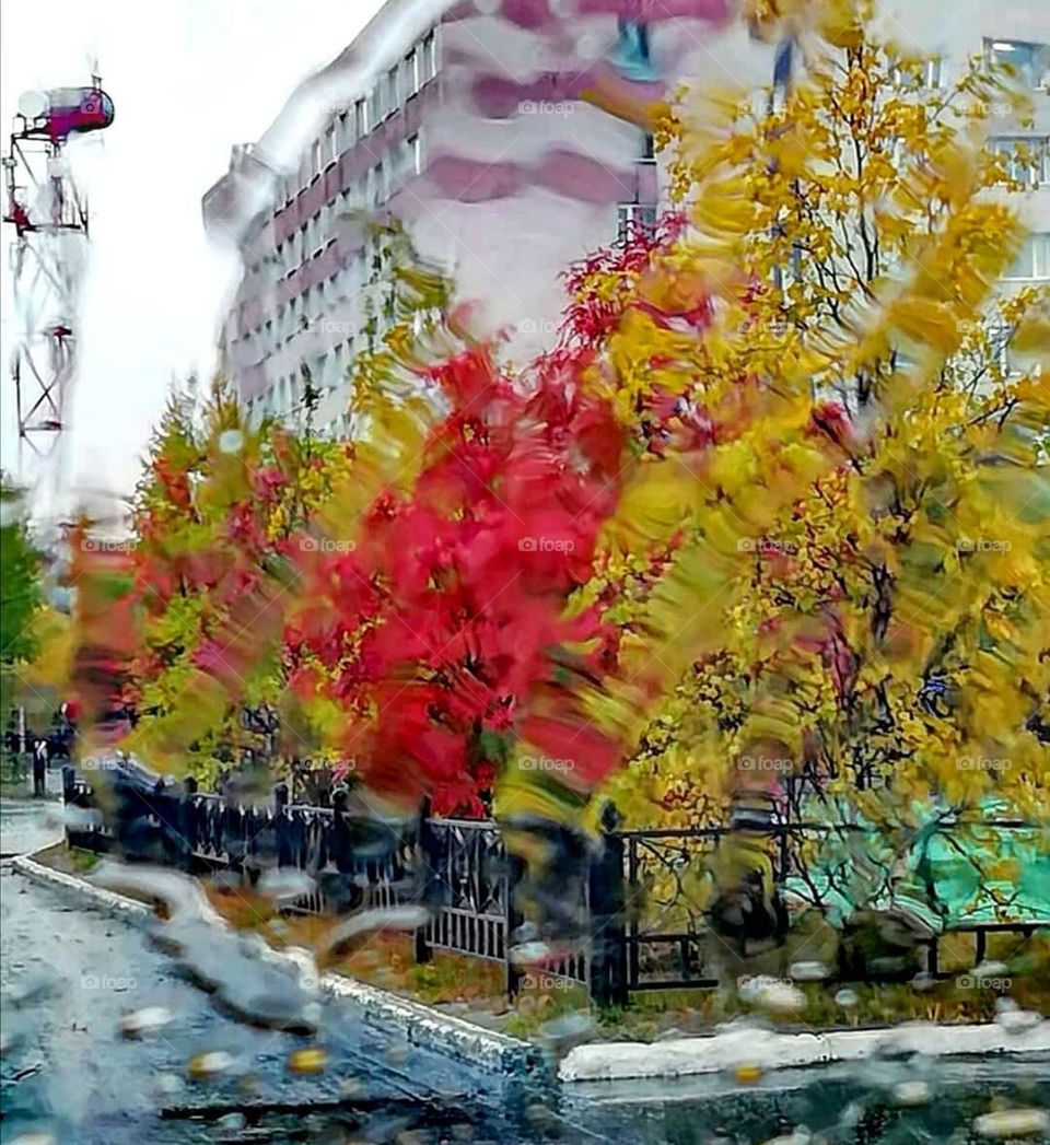 Осенний север