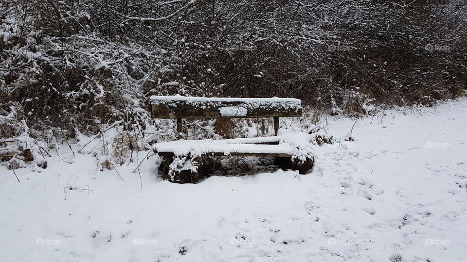 Bench in winter