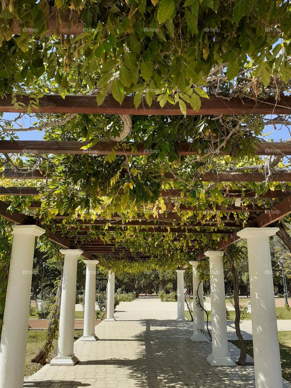 glorieta del parque mendocino