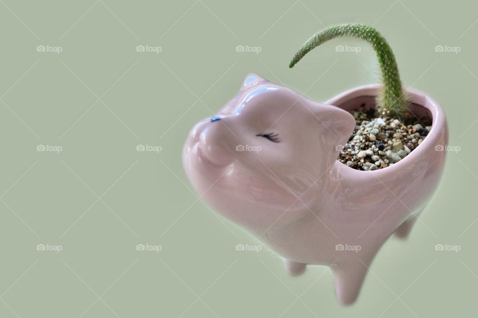 Home decor, gardening, hobbies, cute cat pot with monkey’s tail