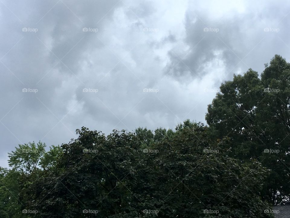 Storm clouds above the trees.