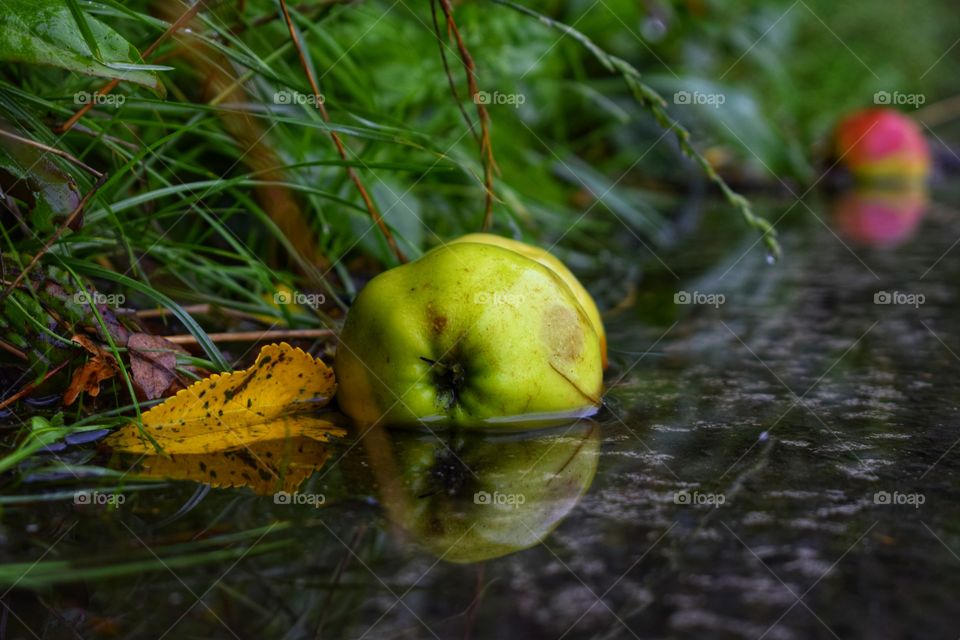 Apple in a rain stream