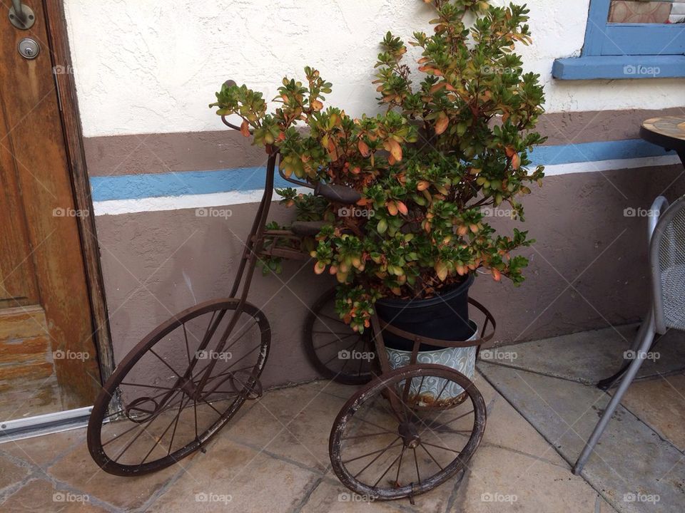 Tricycle with planter