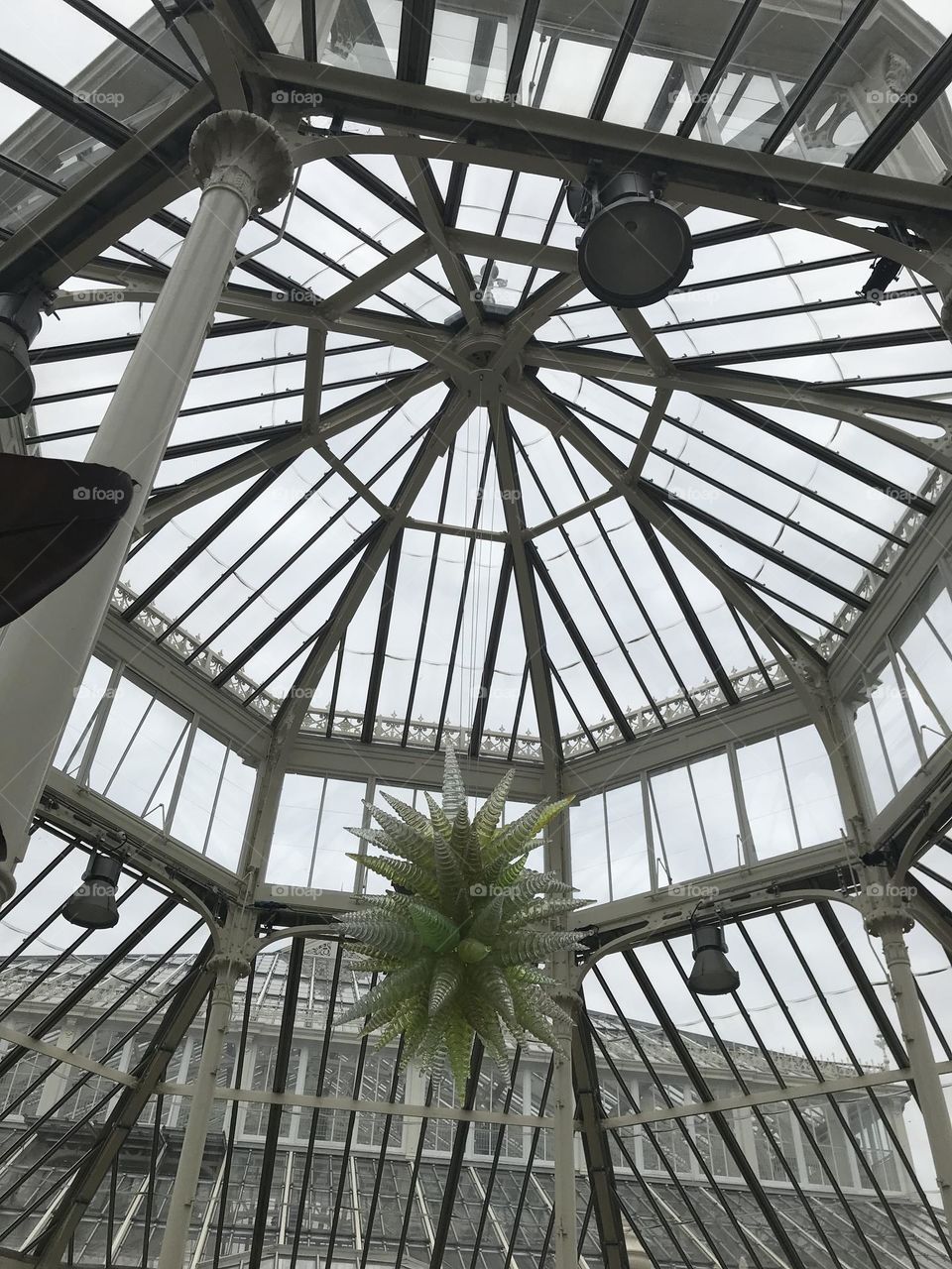 Glass conservatory ceiling at Kew Gardens