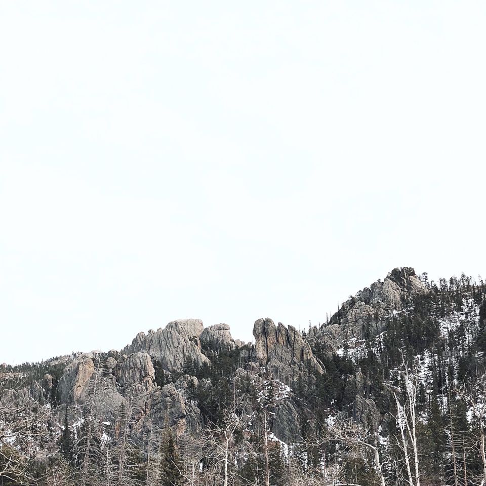 Needles Highway 