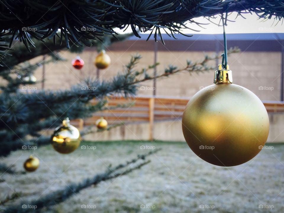 Ball, Christmas, Winter, Hanging, Gold