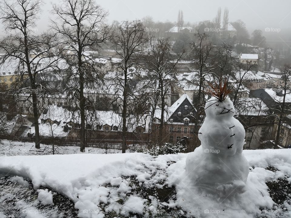 View, Snowman, City, Snow, Urban, Luxembourg, Luxembourg