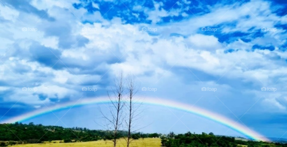 The rainbow is a natural phenomenon that symbolizes renewal, hope and is the link between heaven and earth.
O arco-íris é um fenômeno natural que simboliza renovação, esperança e é o elemento de ligação entre o céu e a terra.