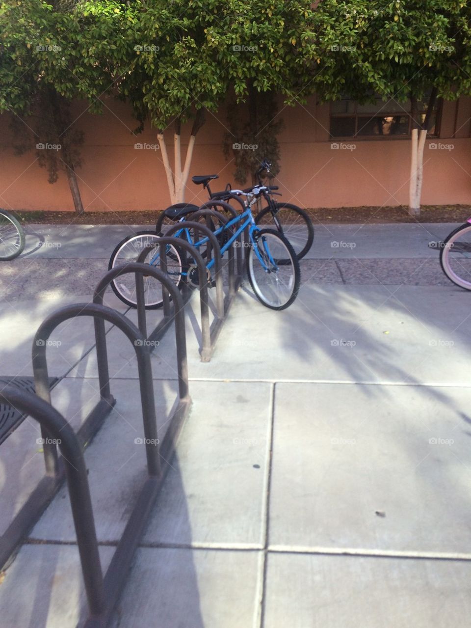 Bike Racks