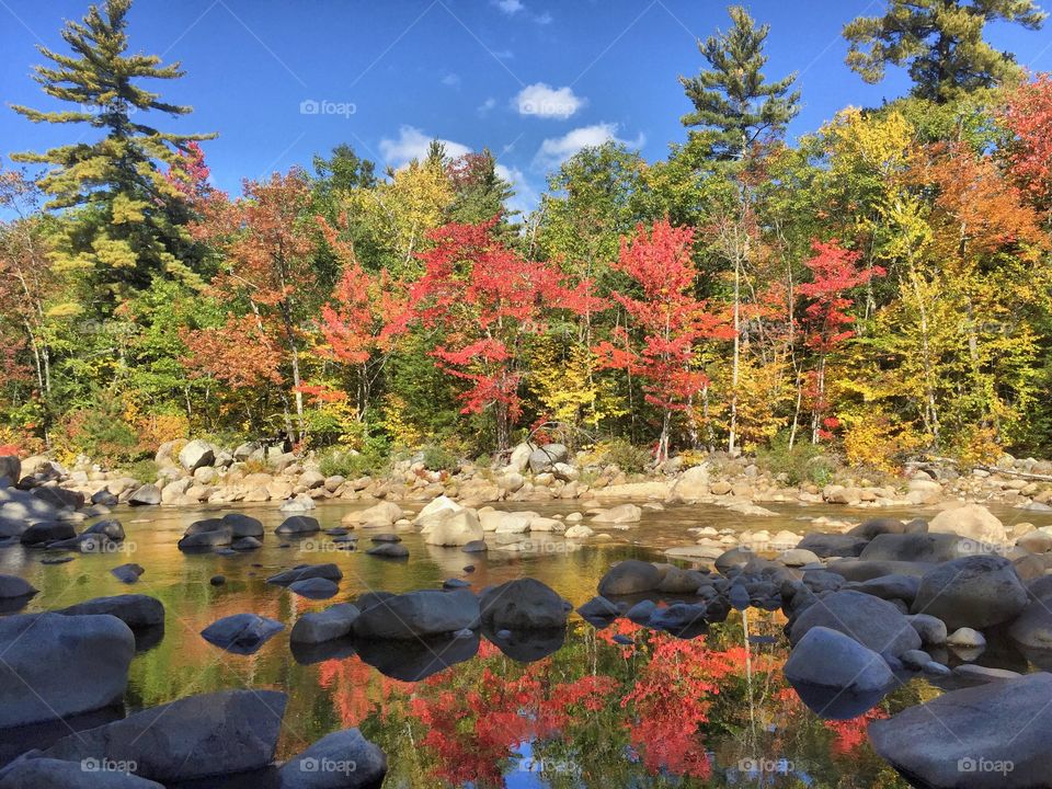 White mountains state forest, New Hampshire 