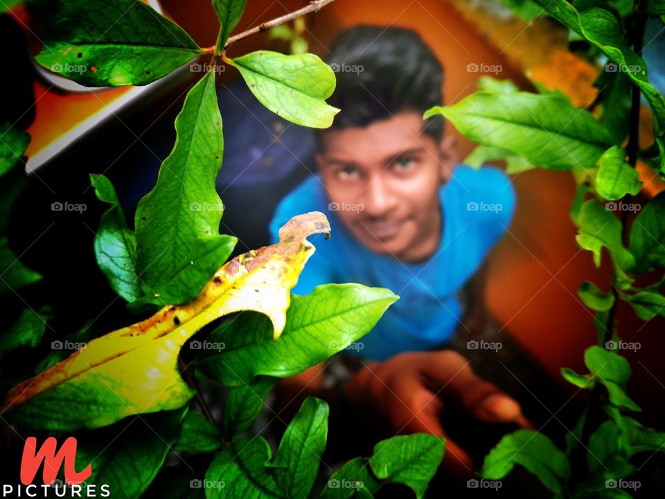 how much guys like this pic buy this picture at least 3 dollars