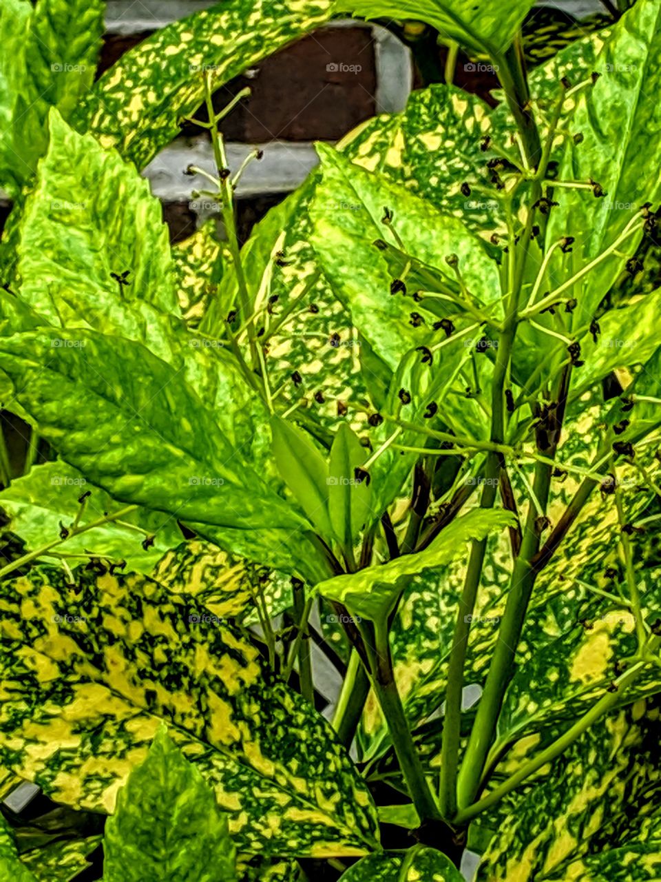 The shock of green is stunning, particularly due to its proximity to a bunch of concrete.