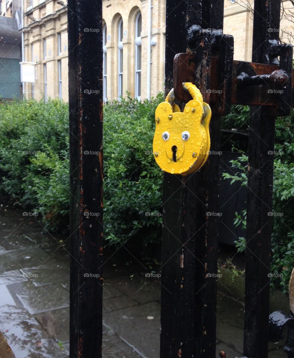 happy padlock on a rainy day