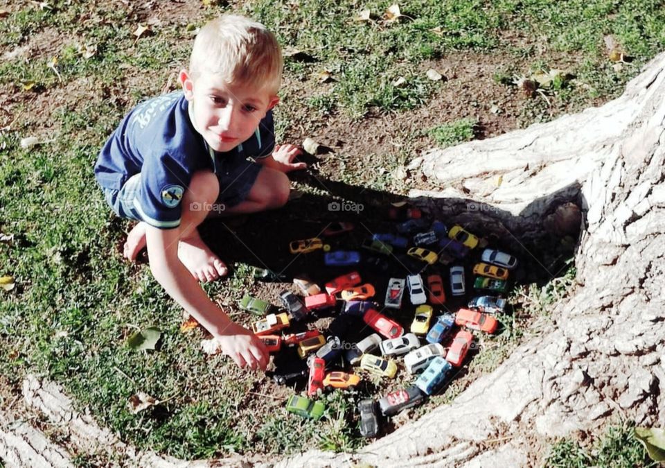 cars parked under a tree