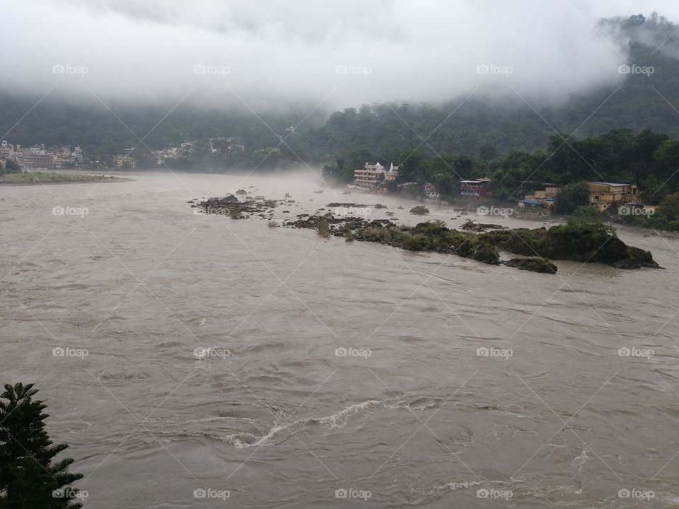 mist on the river