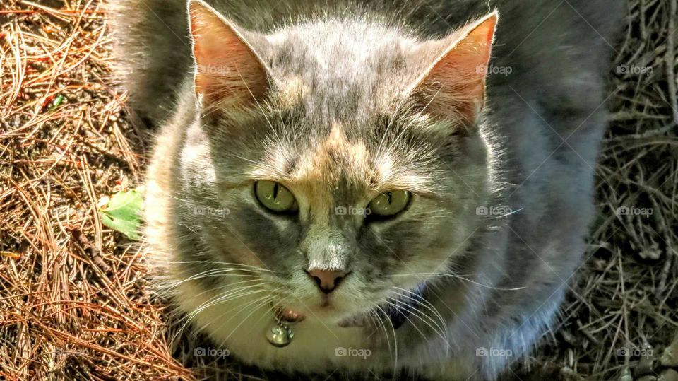 I am busy, what do you want