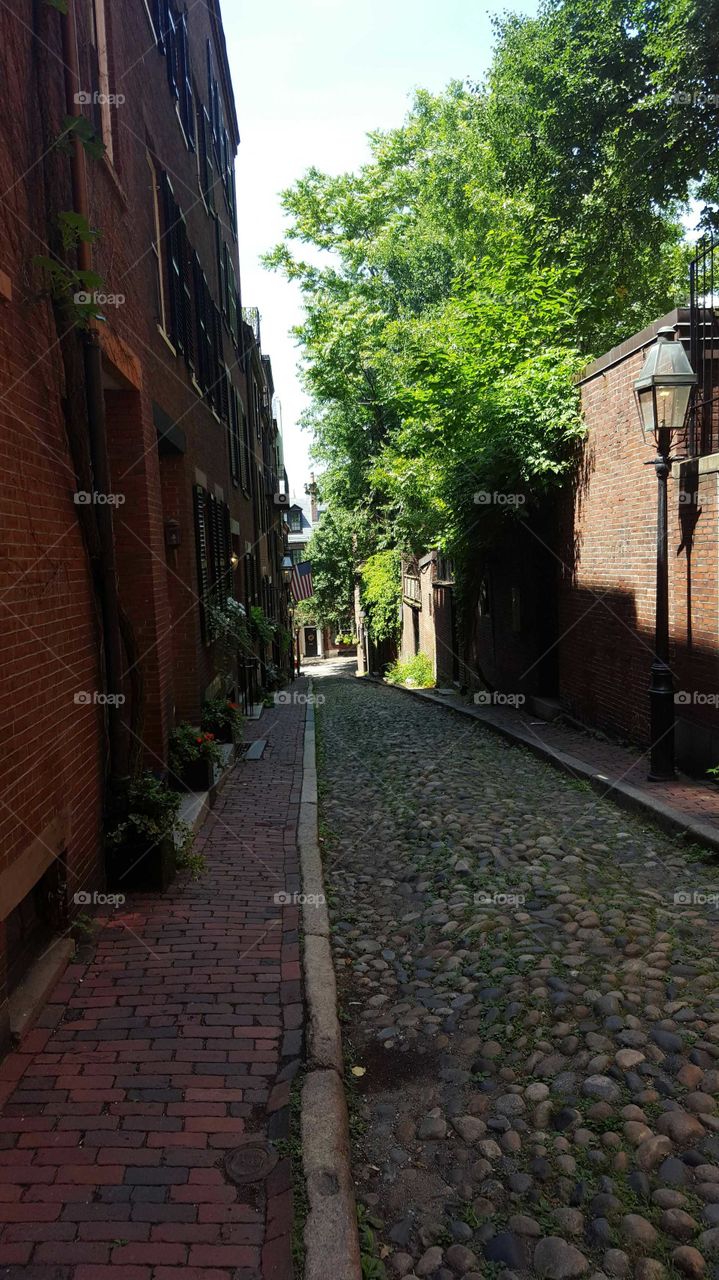 Boston street