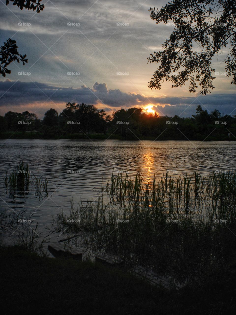 Bayou Sunset