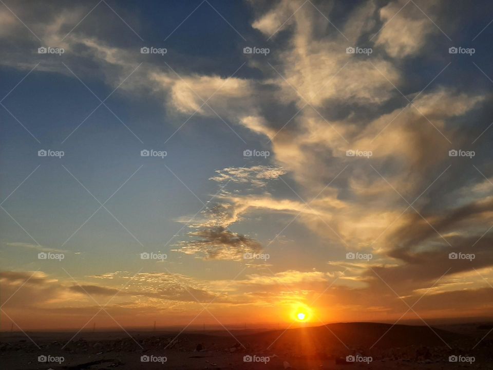 Please, I want you to support me, I need your help, I am poor, I need dollars, please