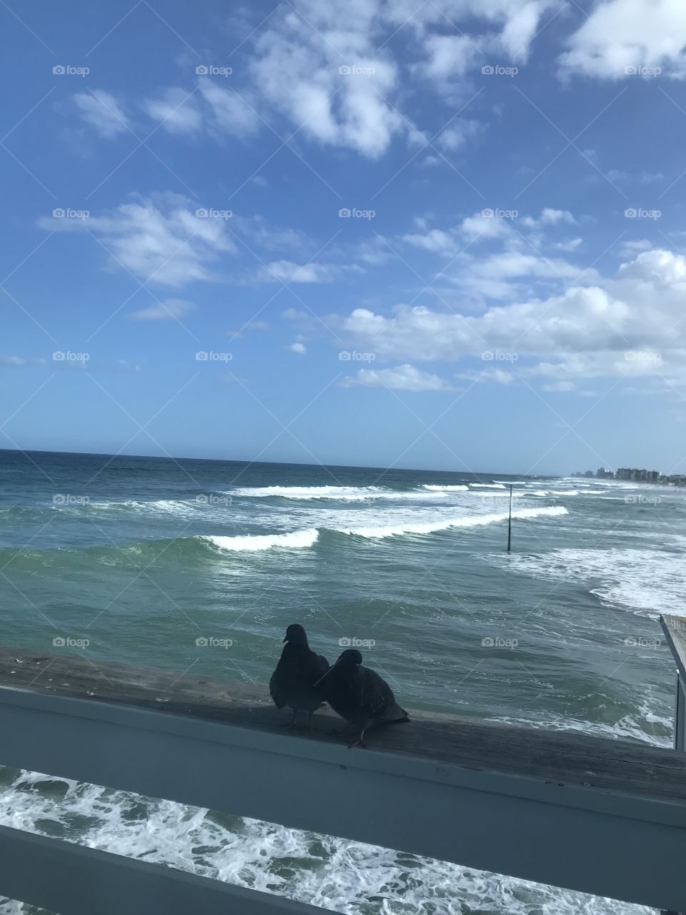 Water, Beach, Sea, Ocean, Seashore