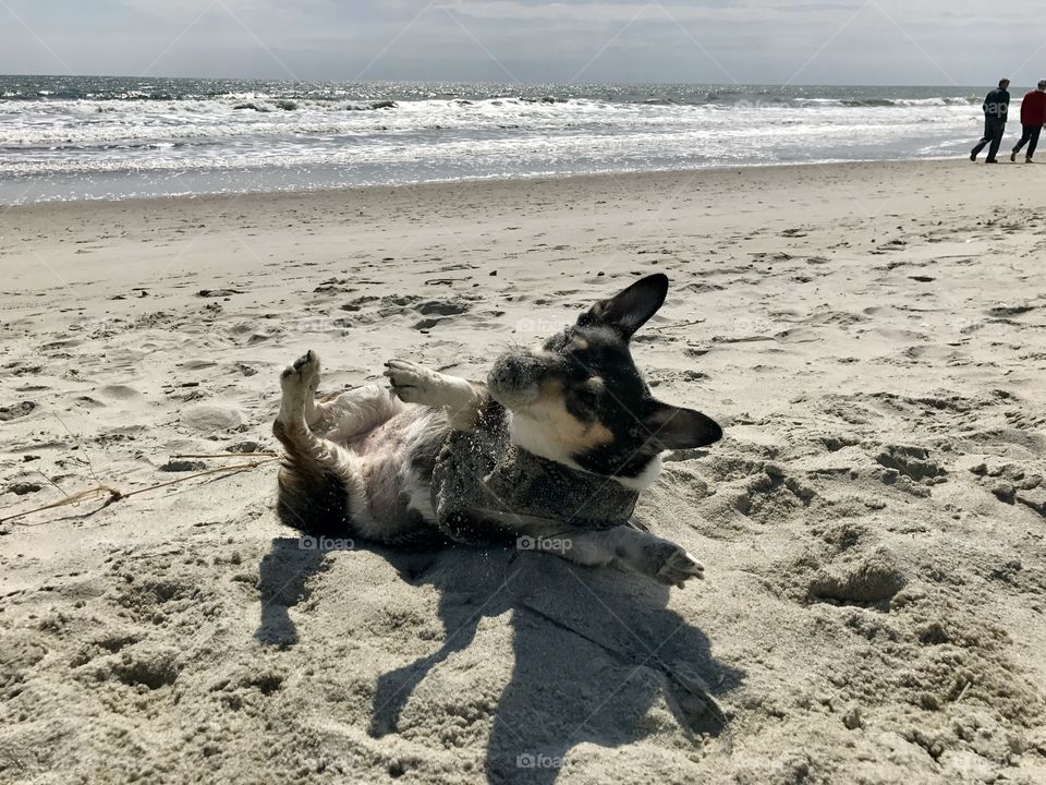 Playing at the beach
