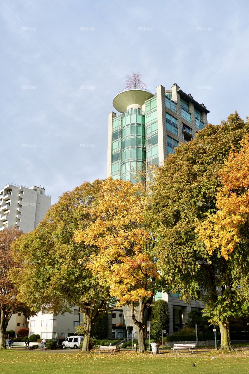 Fall colours in Vancouver