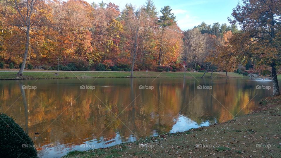 Fall colors reflecting on the pond