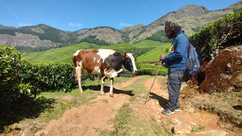 A walk in nature walks the soul back home.” – ...