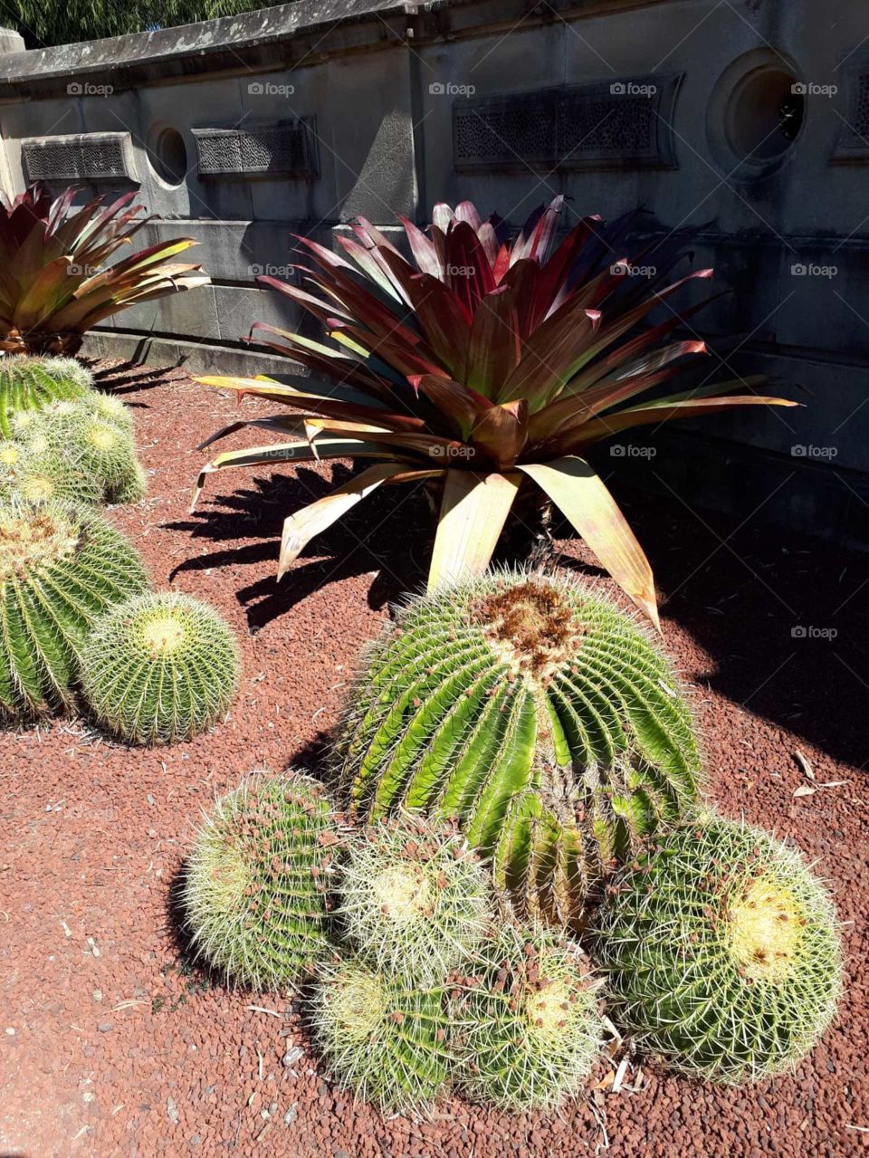 A bit prickly around here 😂