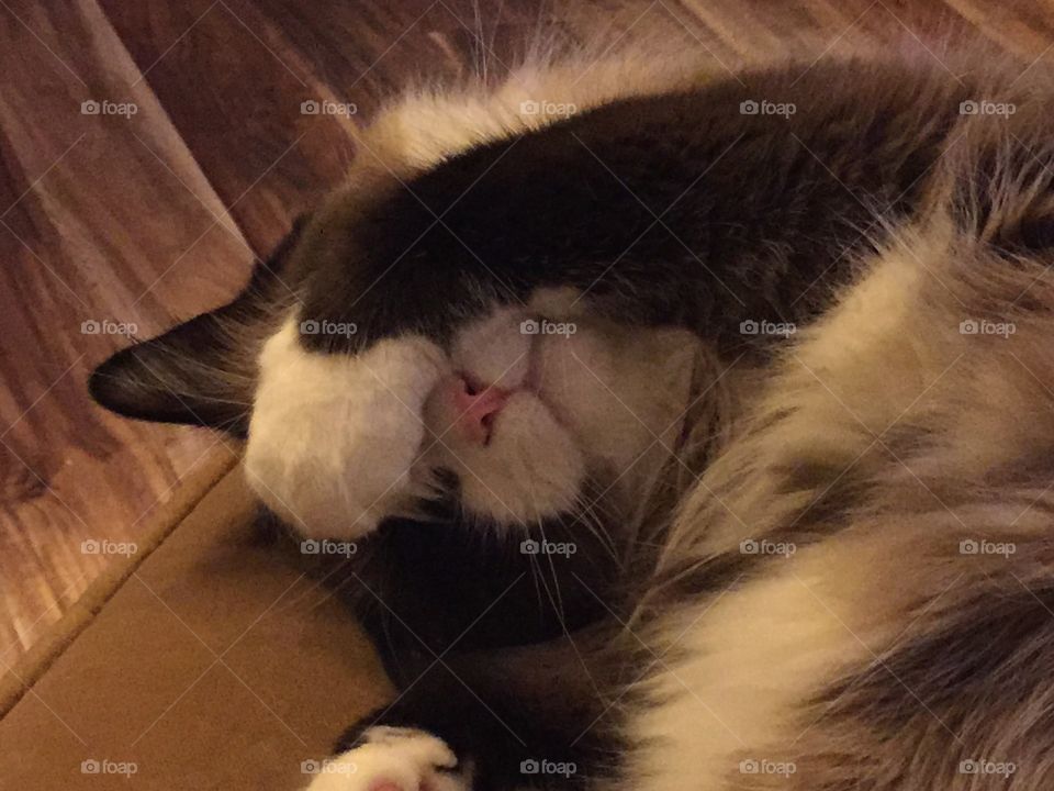 " I want to be alone "