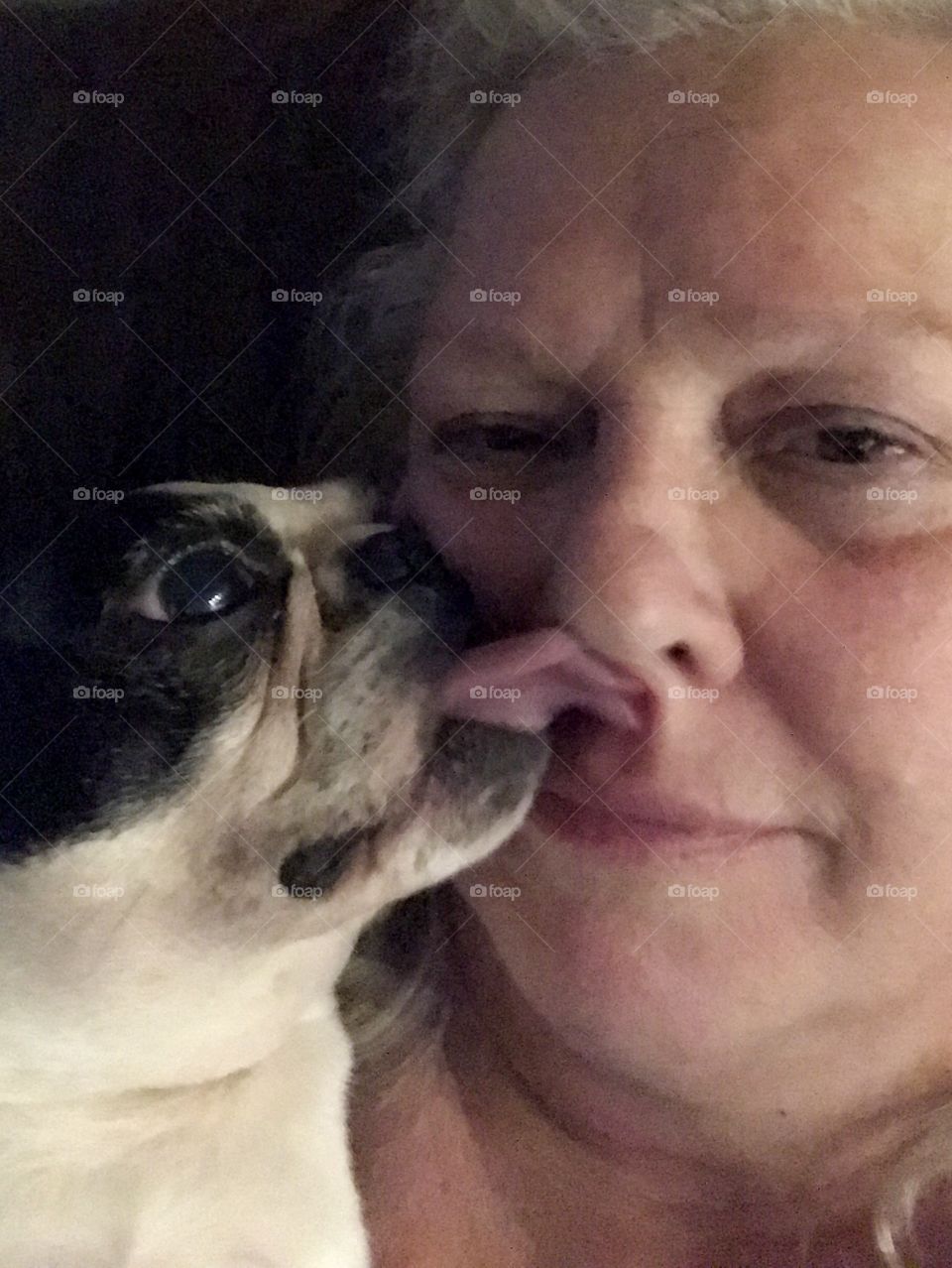 Selfie time! Selfie of me & one of my Boston Terriers.  I was feeling a little ill today from some bug & thought I’d take a picture of us resting together.  Soon as my hands are distracted it’s tacit approval to lick me anywhere. Today the nose. 