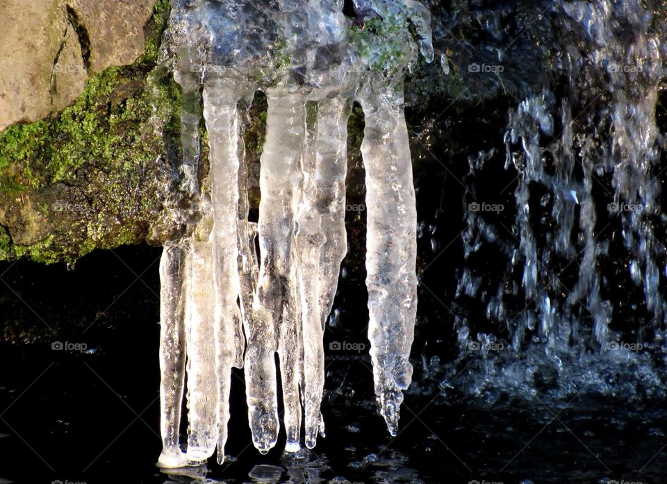 Close-up of icicles